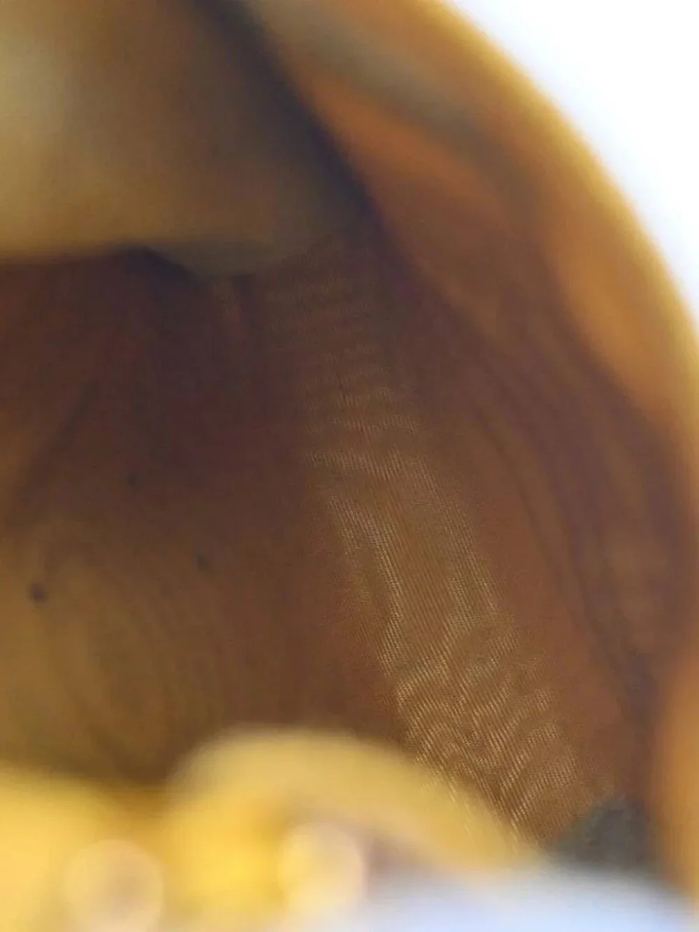 Chanel Yellow Calfskin Chain Shoulder Bag Pochette Phone Case